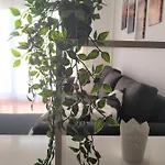 El Chulo Appartement *