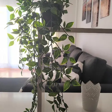 El Chulo アパート *